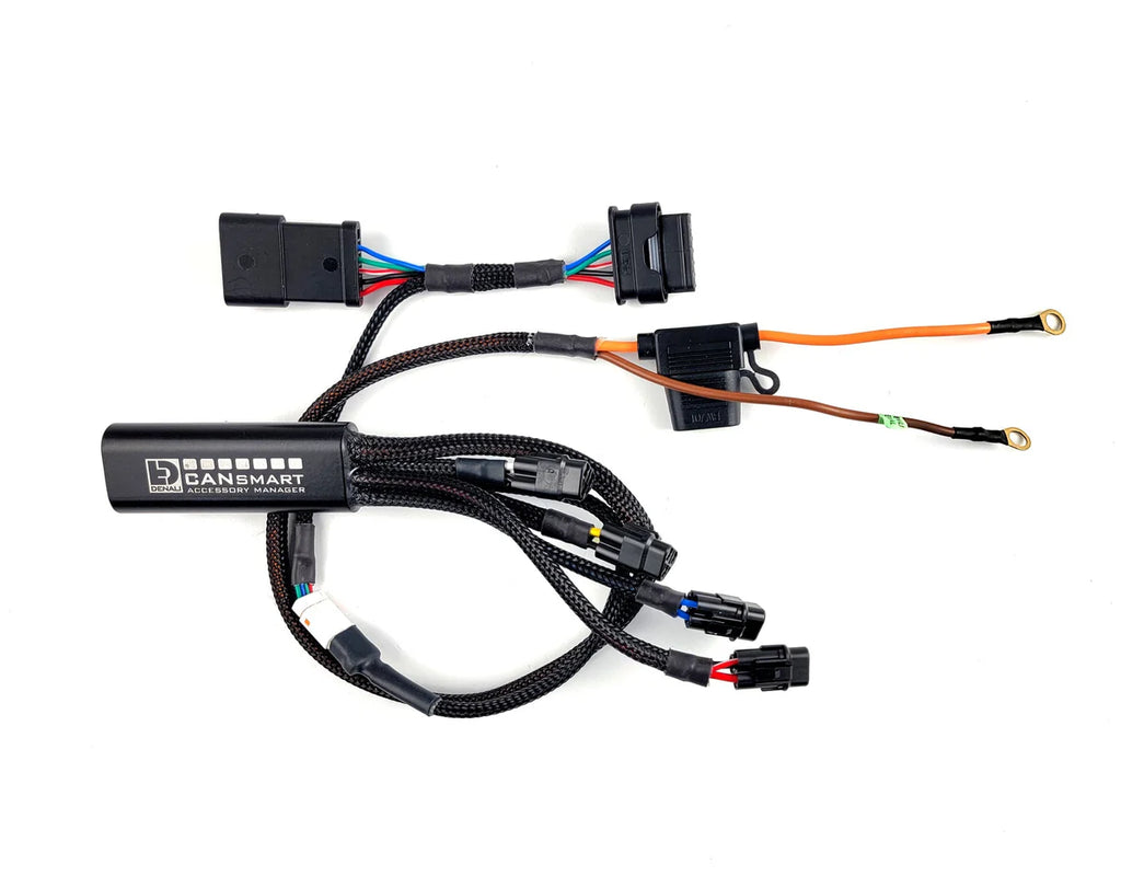 DENALI CANSMART FOR BMW R1300 GS